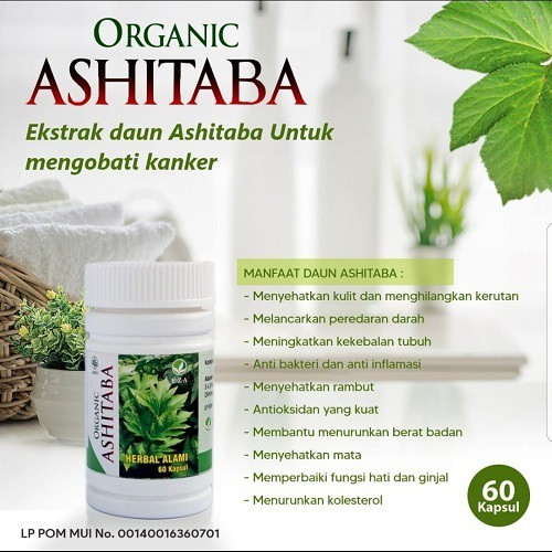 Kapsul Daun Ashitaba Organic Seledri Jepang EZA