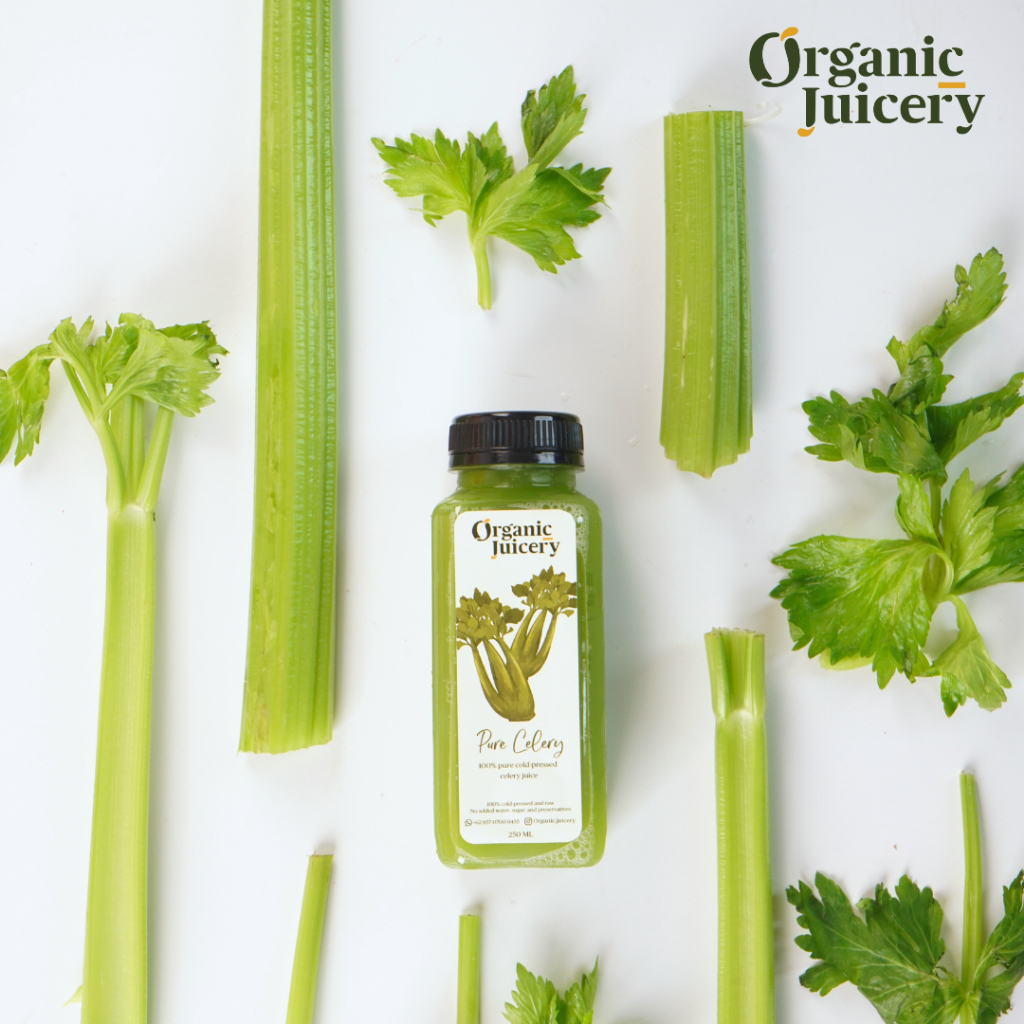 

Pure Celery Juice 1 Liter | Cold Pressed Juice 100% Jus Seledri Murni