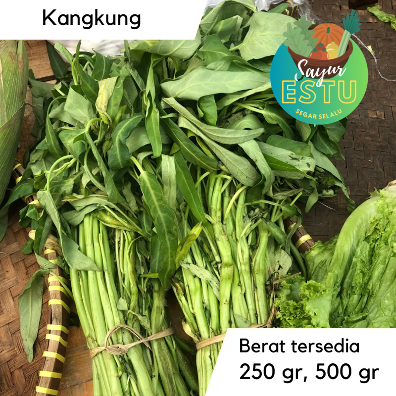 

Kangkung [GRATIS ONGKIR]