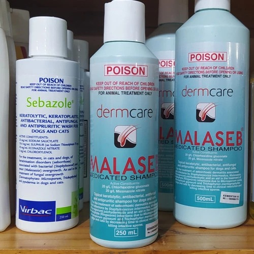 shampo kucing dan anjing malaseb