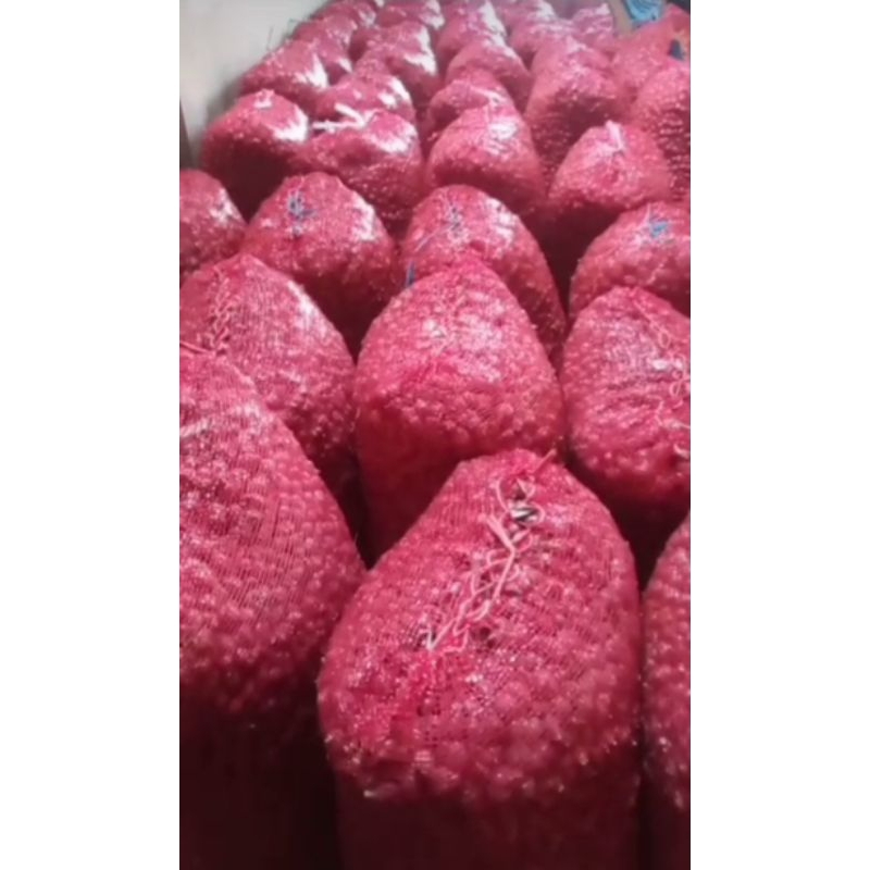 

Bawang Merah Lokal (mulai dari kemasan 1/4)