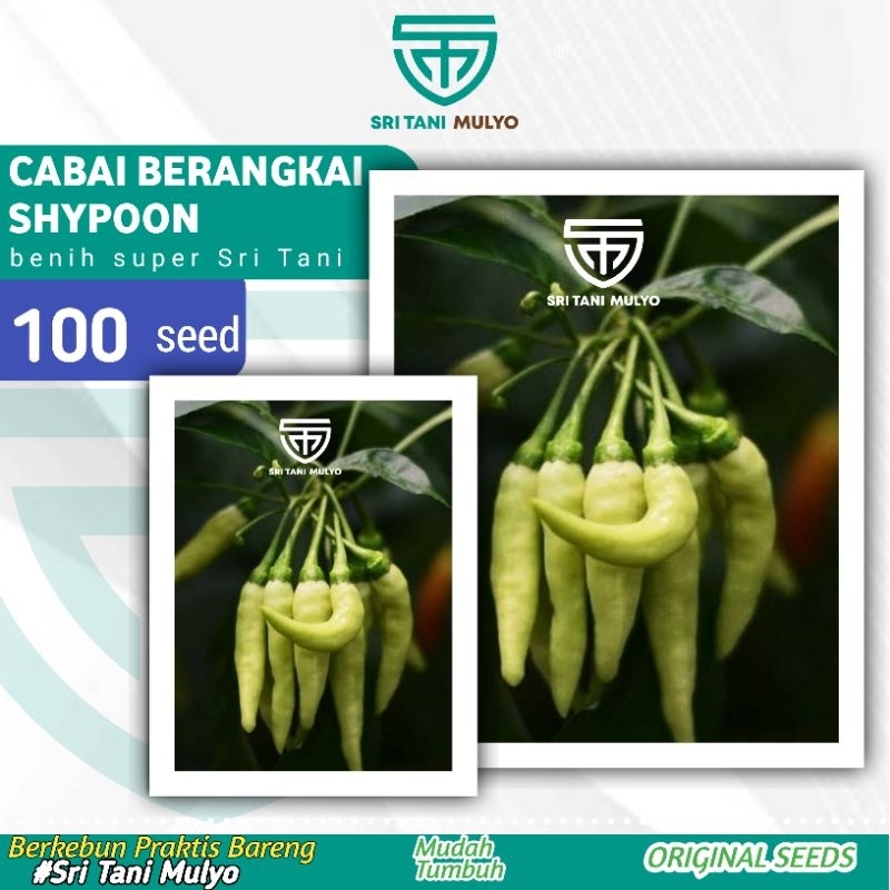 100 Biji - Benih Cabai Rawit Berangkai SHYPOON F1 - Cabai Bergerombo BIBIT SAYURAN VIRAL DEWATA