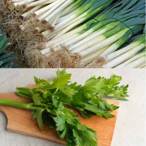 

Bawang Prei dan Daun Sop / Seledri [Mutu Terjamin]