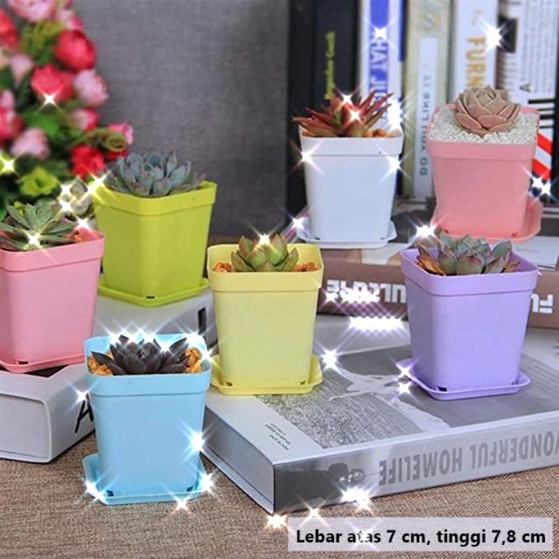 Pot Tanaman Hias pot tanaman skulen Pot tanaman hias pot mini