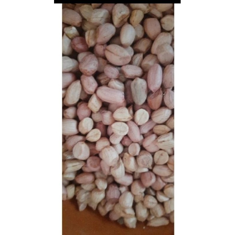 

Kacang tanah kemasana 1kg