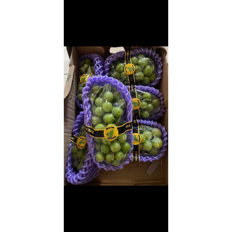 

Anggur Shine muscat