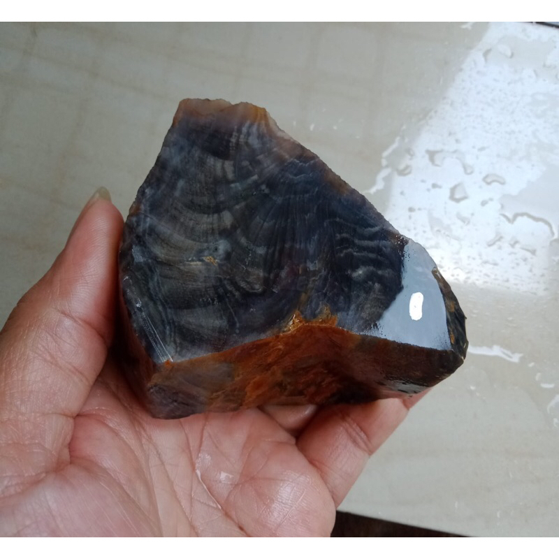 Bahan fosil kelor kristal tembus natural