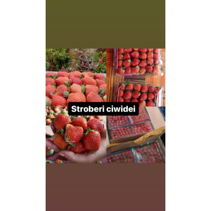 

stroberi