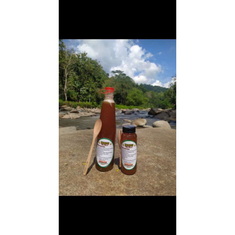 

madu hutan kendari murni