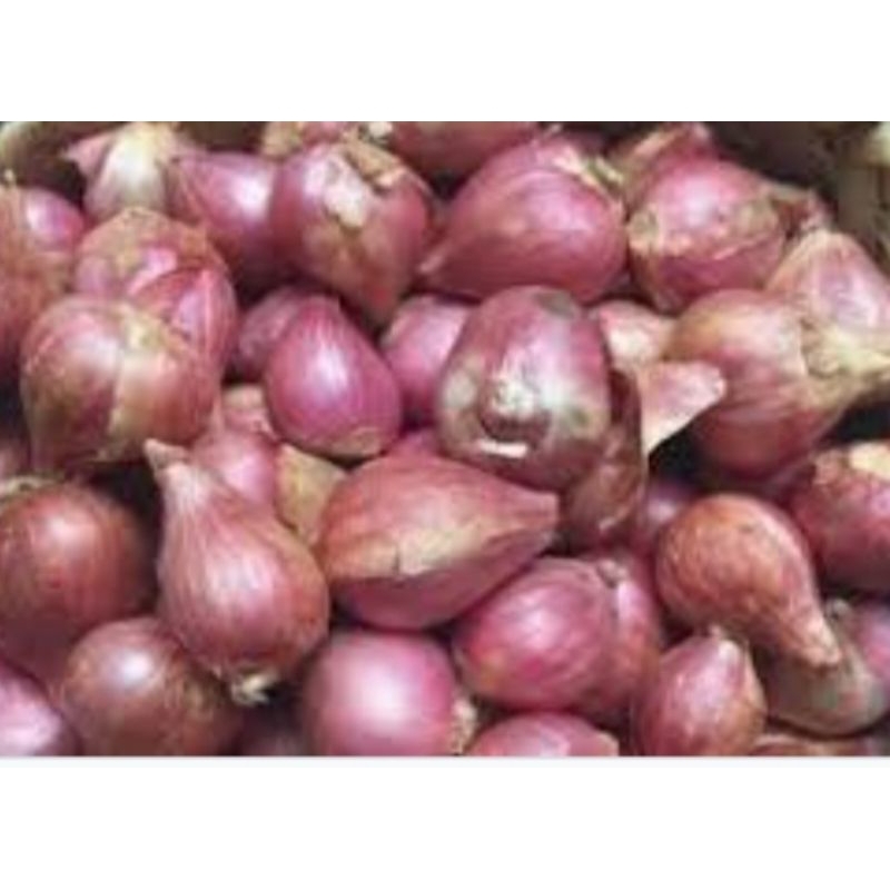

Bawang merah 1kg