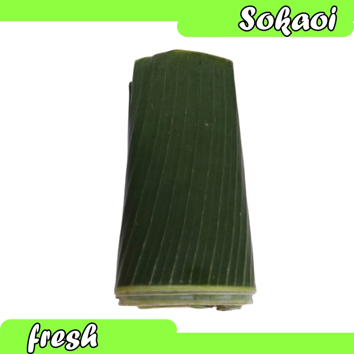 

DAUN PISANG SEGAR DAUN PISANG FRESH