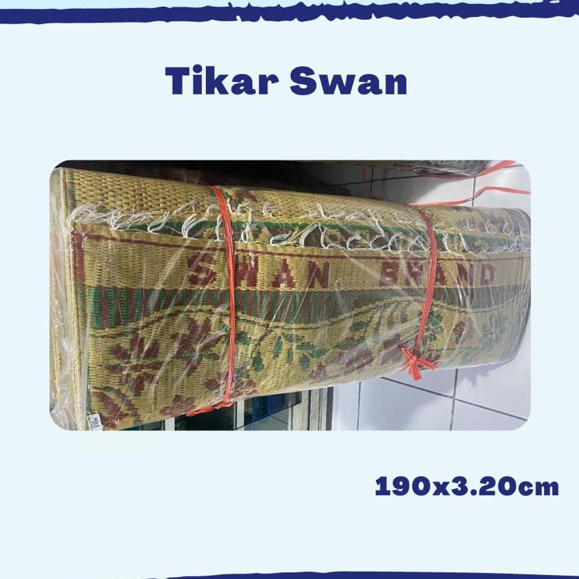 TIKAR SWAN TIKAR TEBAL MURAH TIKAR PANTAI