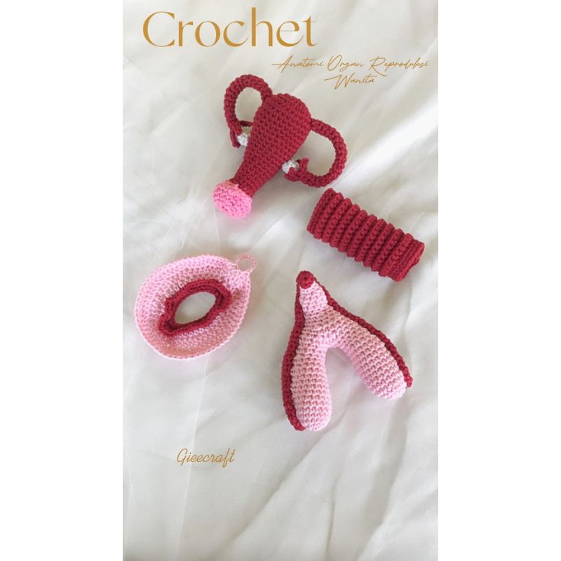 PRE ORDER Boneka Anatomi Organ Reproduksi Wanita Kebidanan Crochet/Vulva/Klitoris/Uterus