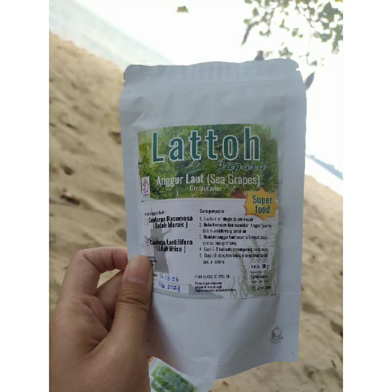 

vegan food anggur Laut Sea Grapes latoh dehydrated lawi lawi