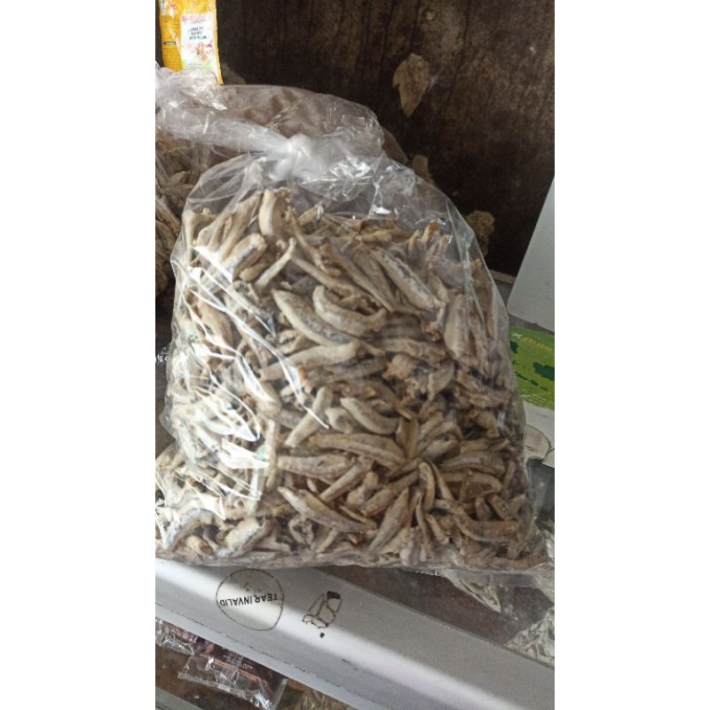 

Teri Gundul / Teri Jengki 500gr