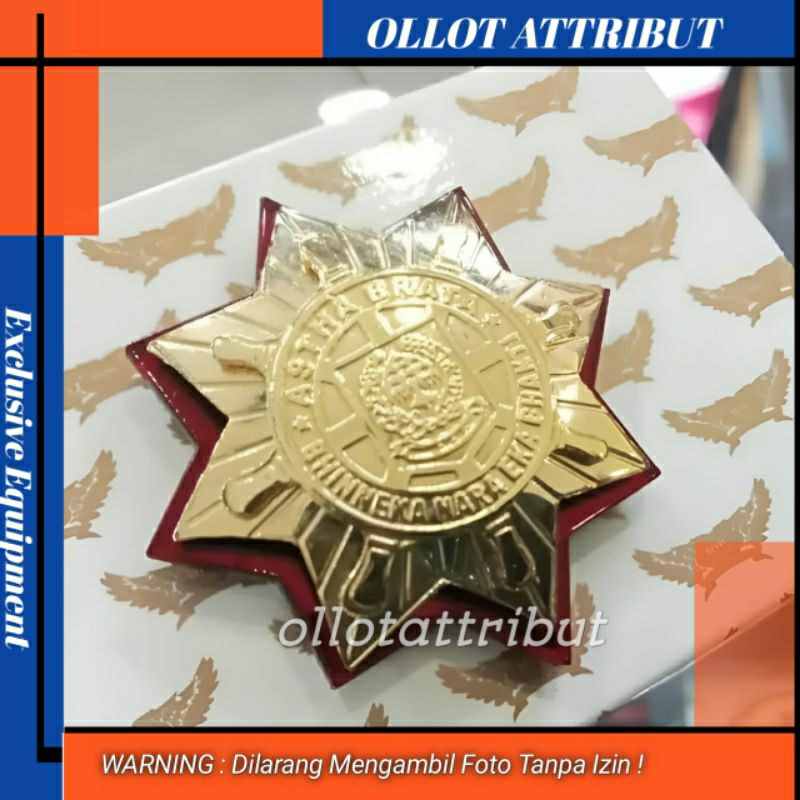 PIN PURNA IPDN | PIN ALUMNI IPDN LOGO BERINGIN