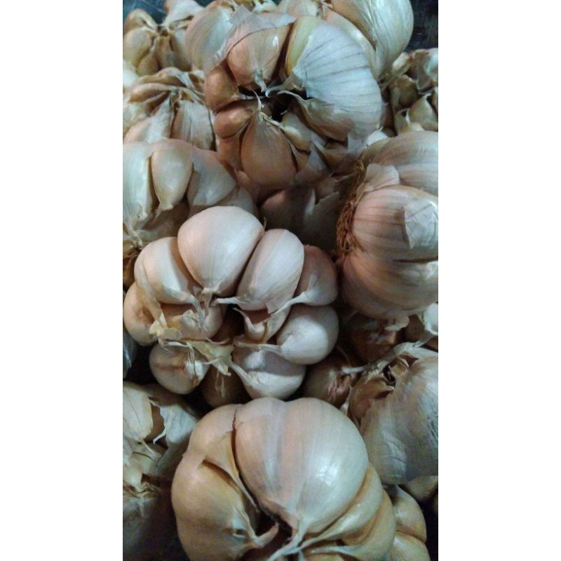 

bawang putih bawang merah 500g 1kg