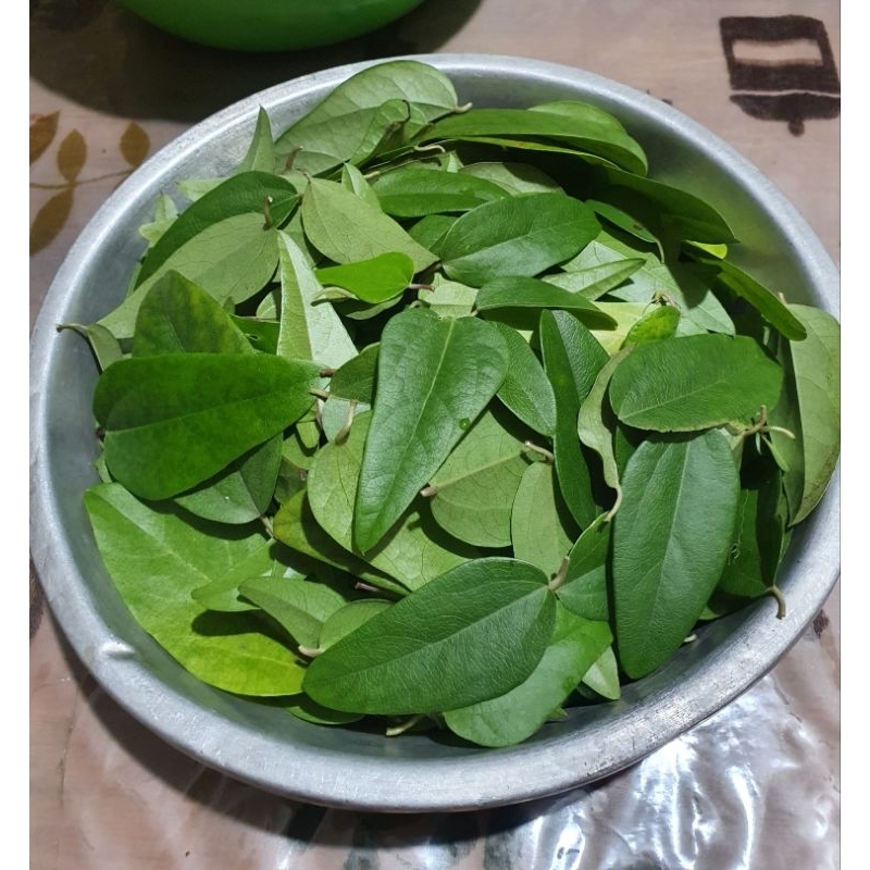 

Daun Cincau Hijau / Jelly Segar