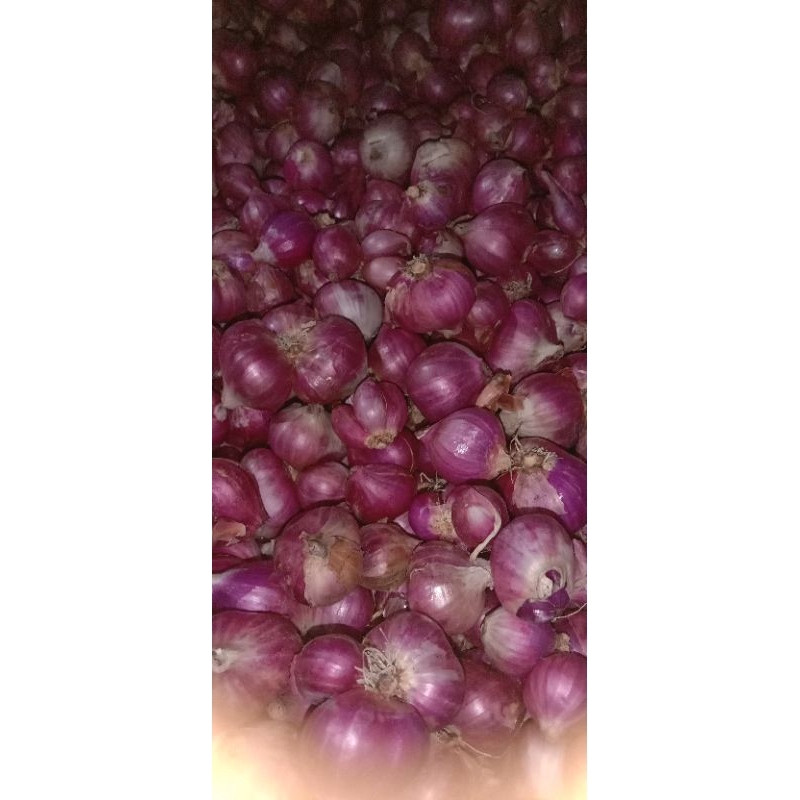 

Bawang merah lokal termurah 1kg