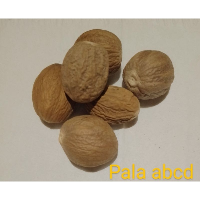 

pala kupas