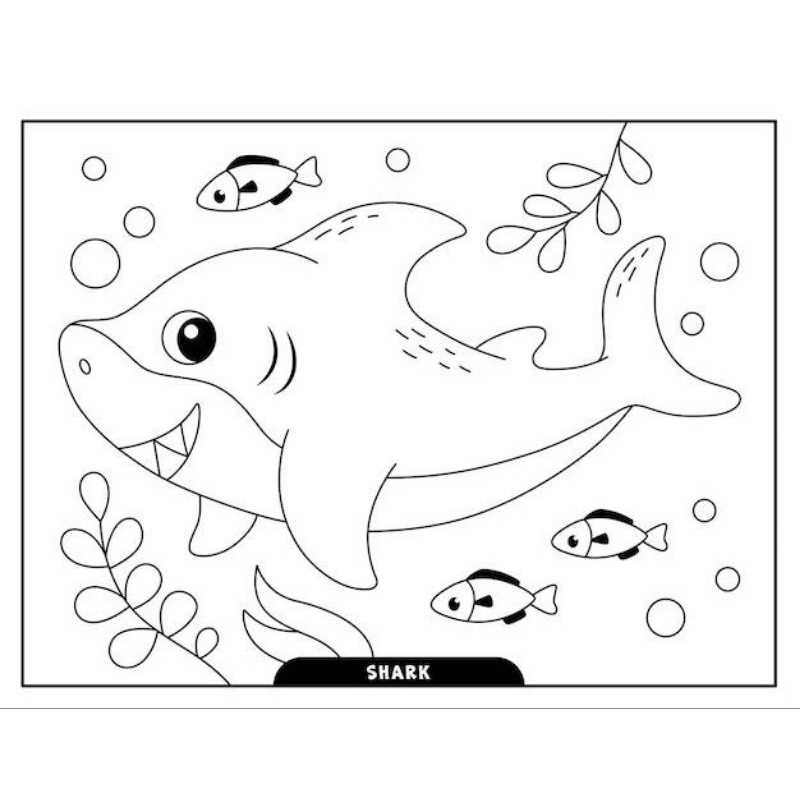 

GAMBAR SKETSA MEWARNAI HEWAN LAUT/KERTAS MENGGAMBAR A4 ANAK PAUD-SD