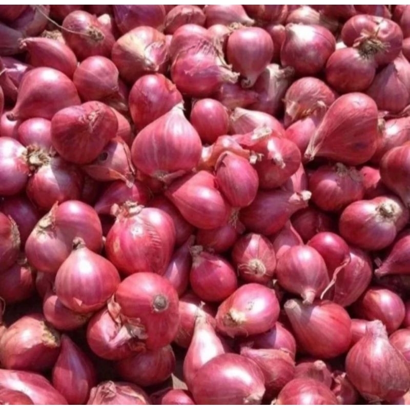 

BAWANG MERAH SUPER 1KG