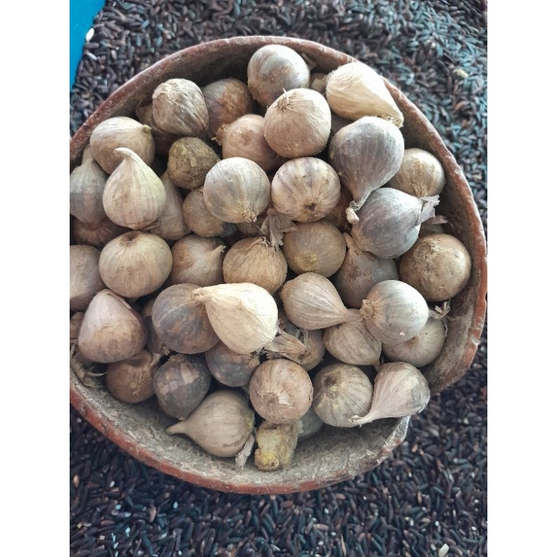 

bawangputihlanang100gr