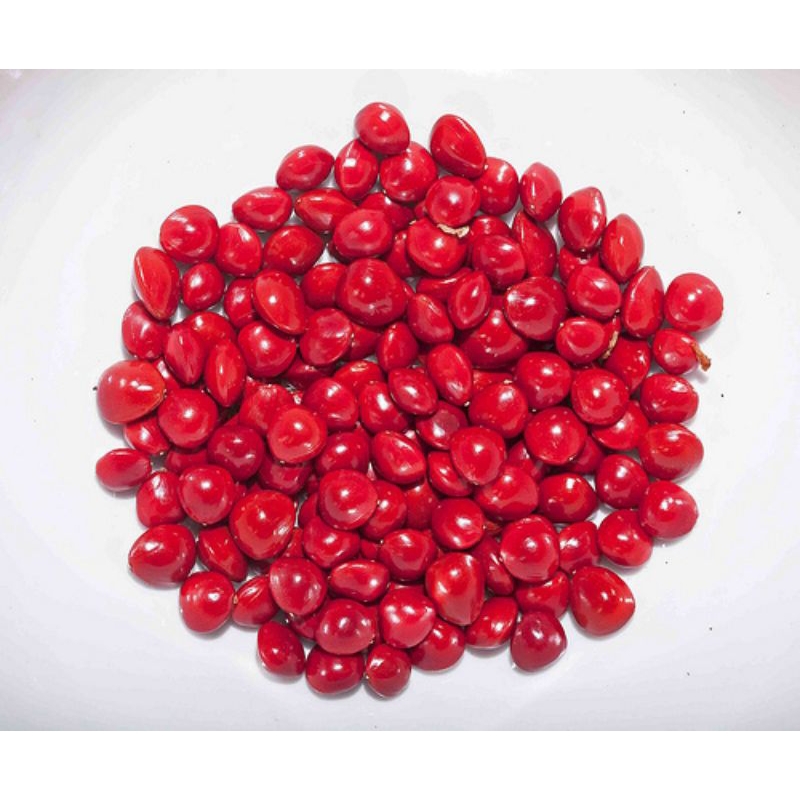 

Biji saga merah 1kg