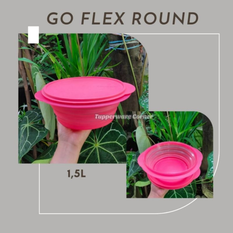 TUPPERWARE // Go Flex