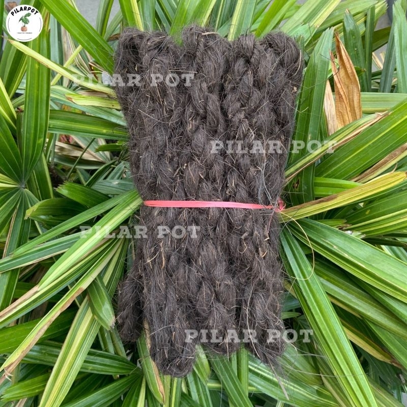 Tali Ijuk Aren Hitam Per Ikat Tambang Pengikat Bunga Anggrek Pagar - TALI IJUK ISI 10 PCS