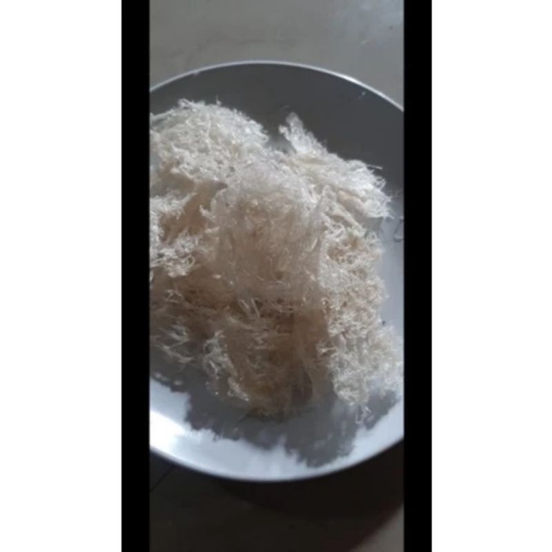 

Sarang Walet Bersih Patahan Besar Isi 5 gram