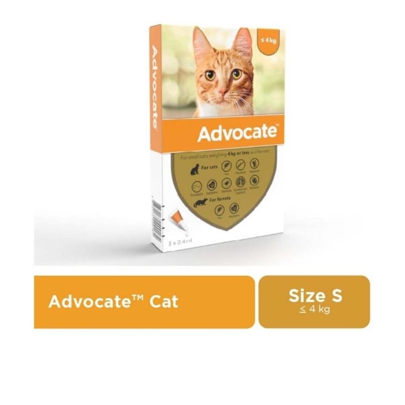 Advocate cat small - obat kutu advocate