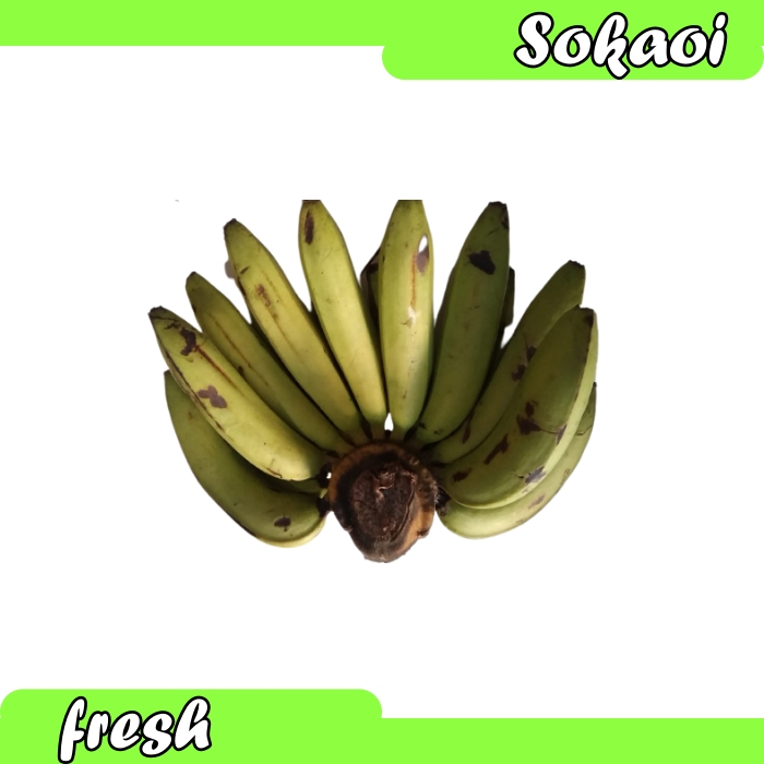 

BUAH PISANG HIJAU AMBON SEGAR