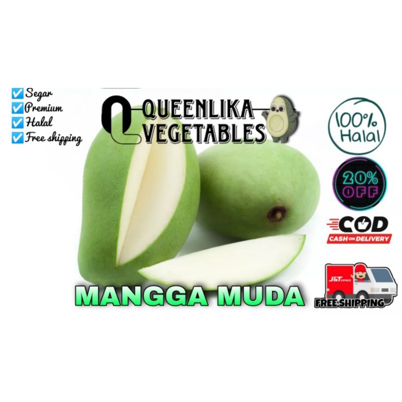 

MANGGA Muda Langsung dari pohon (Cocok untuk rujak/lotis)