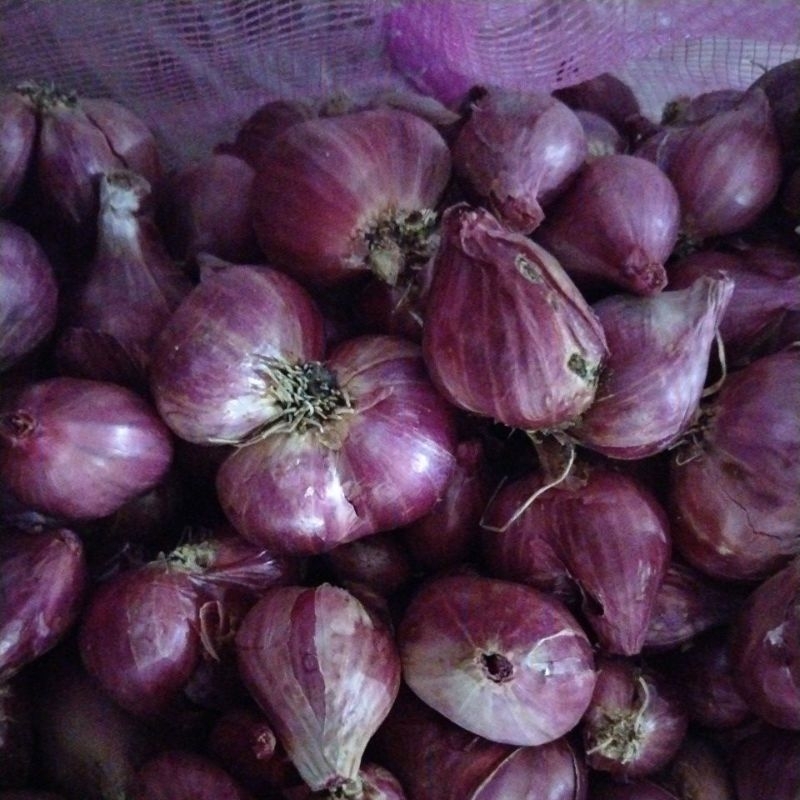 

BAWANG MERAH Probolinggo