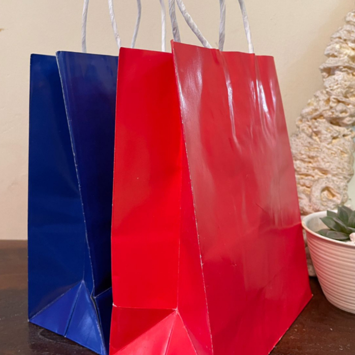 

Paperbag tas kertas polos handle tempel untuk acara ultah 17x9x23cm tas kado imlek gift ultah