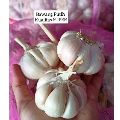 

BAWANG PUTIH kualitas superr UK 500g