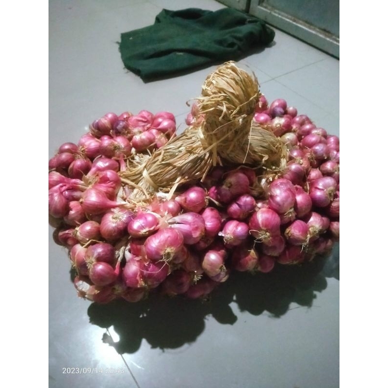 

Bawang Merah/Brambang