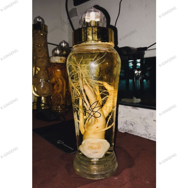 Ginseng Korea Dalam Botol Kaca Ukuran 1 Liter Dari Tahun 2021