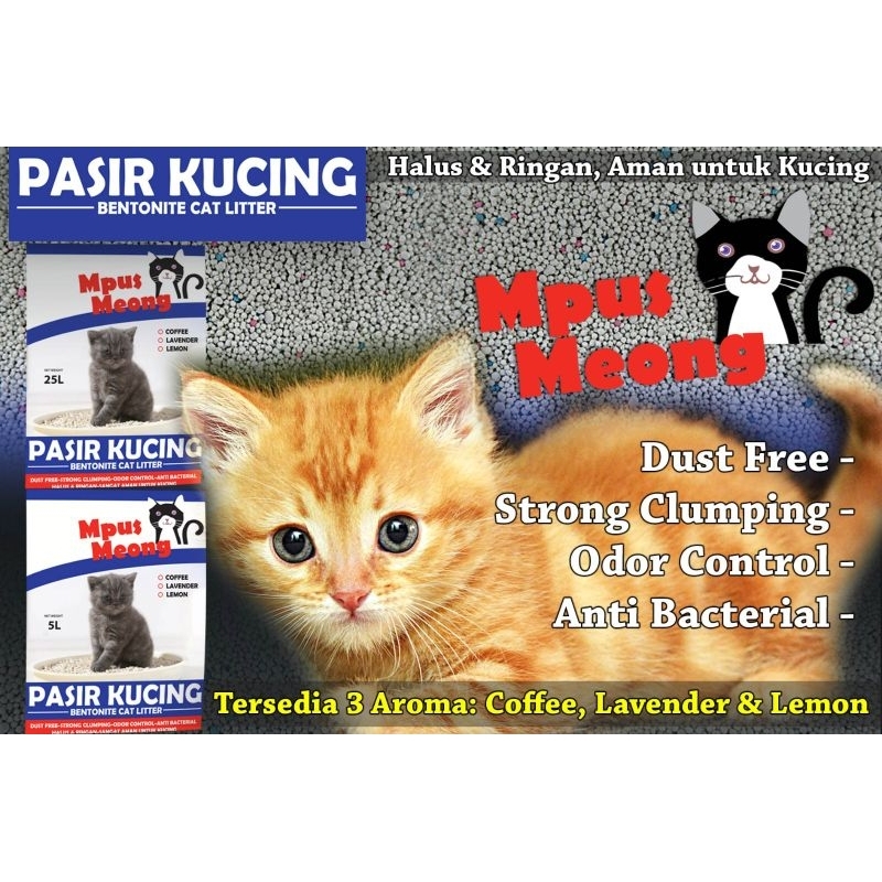 PASIR KUCING MPUS MEONG