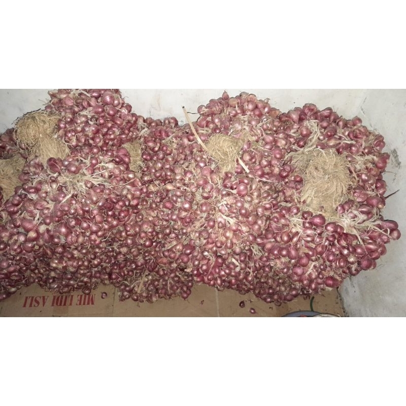 

Bawang merah