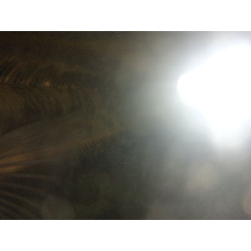 maru ys batik bulat simet rapi 6/6 size 17-19cm cabung dikit bonus pelet dan stiker