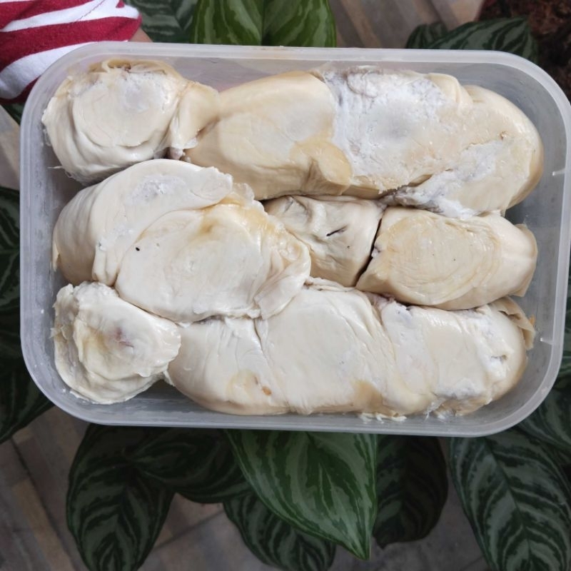 

Durian Montong Medan 500gr