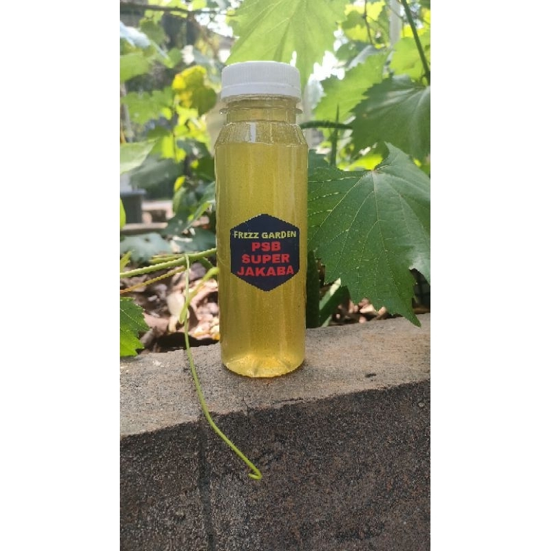 PSB SUPER JAKABA JLF BERWARNA HIJAU DAN TIDAK BERBAU (KEMASAN 250 ML)