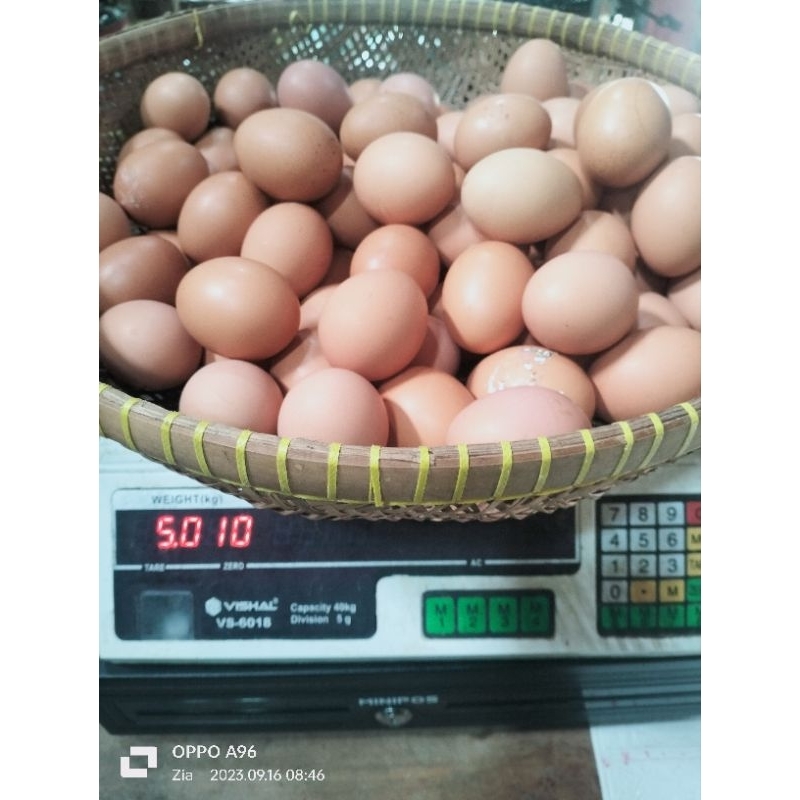 

TELOR AYAM NEGRI 1 KG