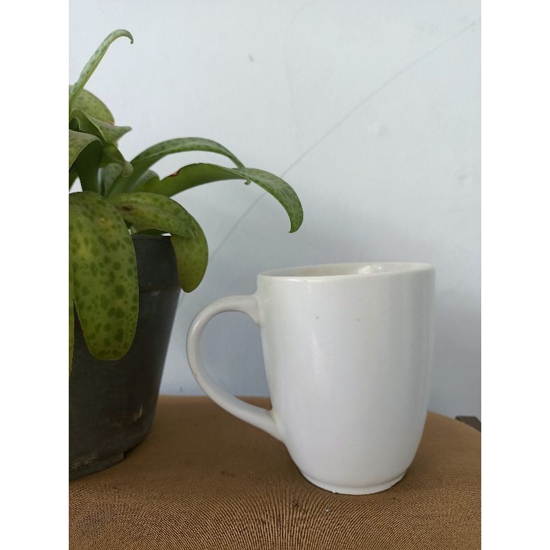 Gelas Keramik | Gelas Putih Polos | Gelas Mug | Gelas Coffe |