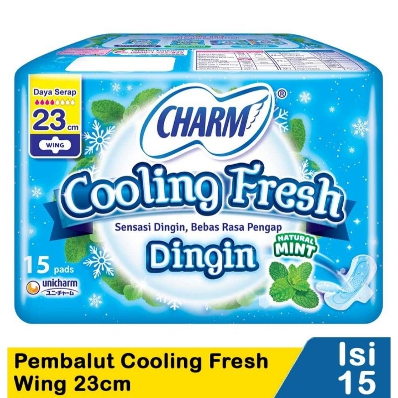 CHARM PEMBALUT