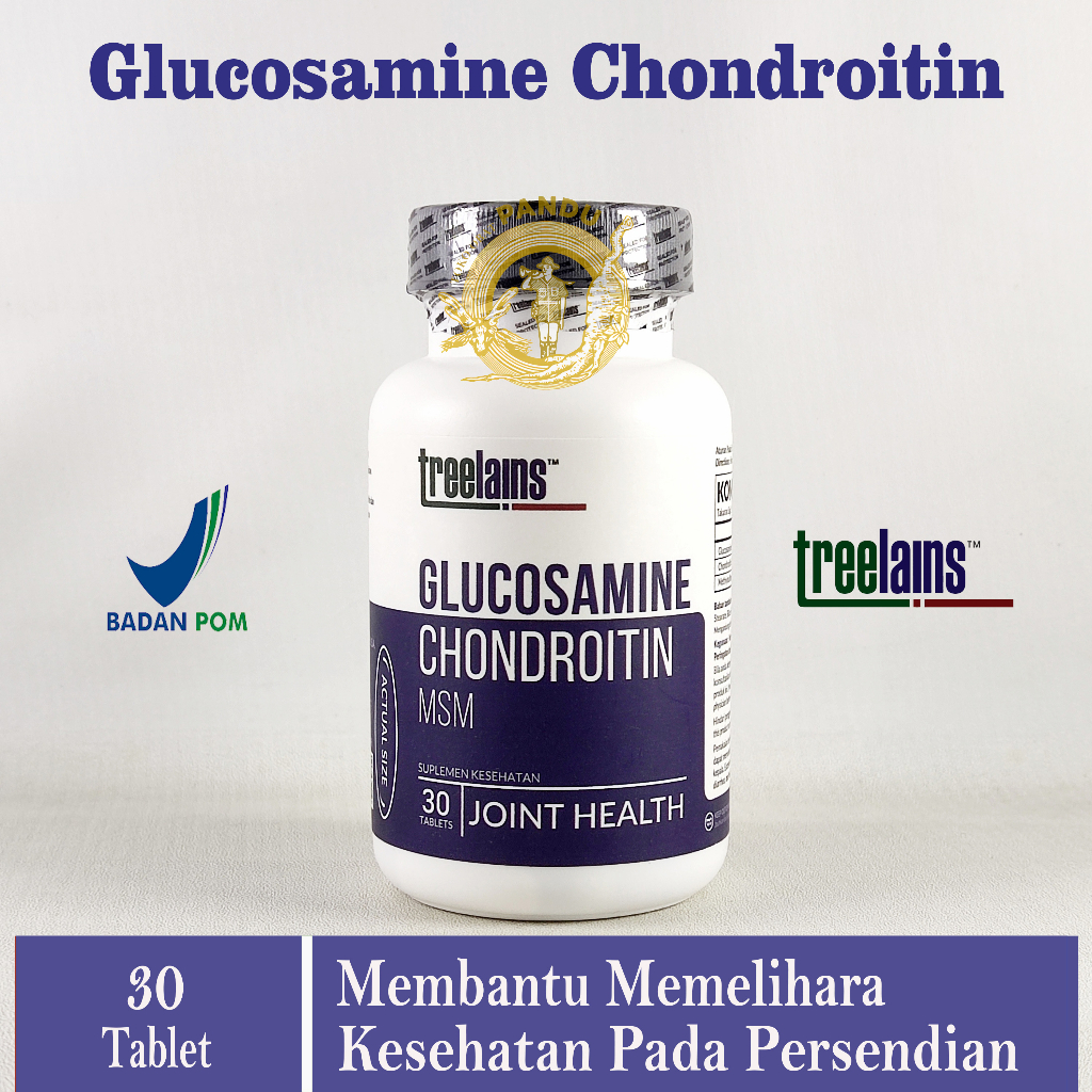 TREELAINS GLUCOSAMINE CHONDROITIN MSM (30 tablets)