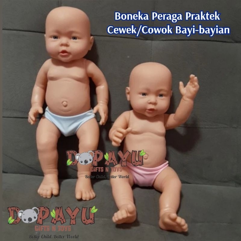 Boneka Edukasi Alat Peraga Praktek New Born Phantom Anak-anakan mirip Bayi