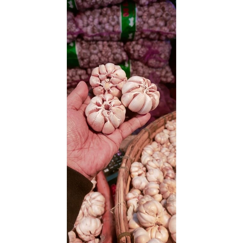 

bawang putih 1kg